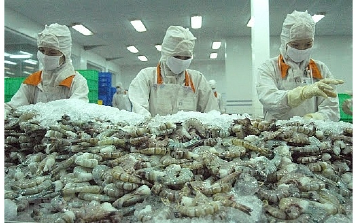 Thủy sản Việt Nam được xuất khẩu trở lại v&agrave;o Ả rập X&ecirc; &uacute;t